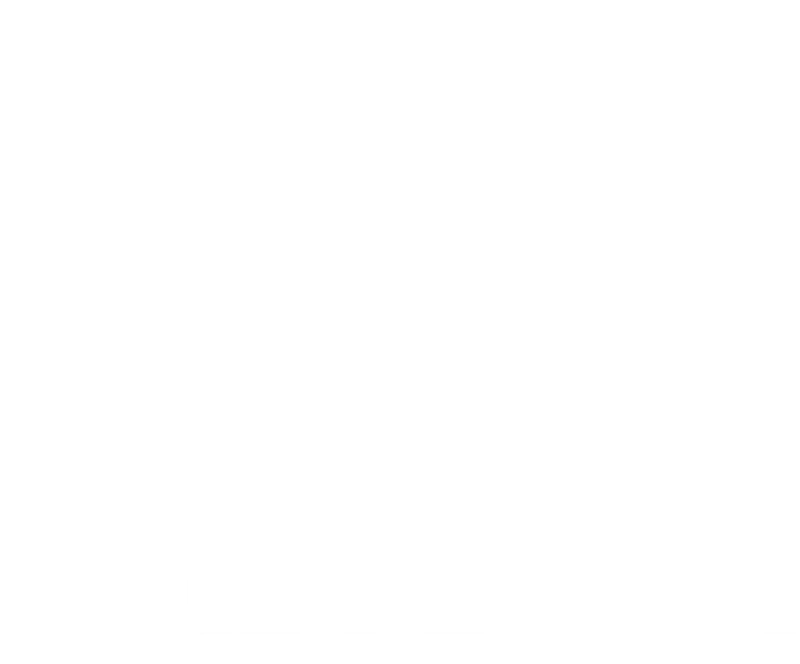 Belsystem logo