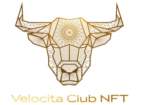 Velocita
